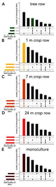 UpSet plot of intersected soil fungal amplicon sequences variants (ASVs) in a paired temperate agroforestry and monoculture cropland system.