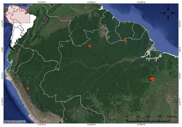 Distribution of Christiana mennegae based on examined material.