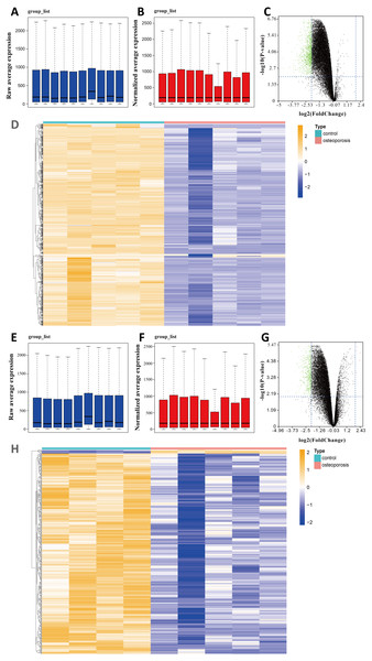 Identifying DEGs in BMSCs from osteoporosis patients and non-osteoporotic donors (GSE35956 and GSE35958).