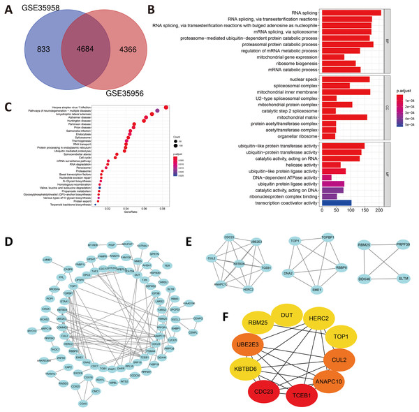(A) An extended range of DEGs were selected from GSE35956 and GSE35958.