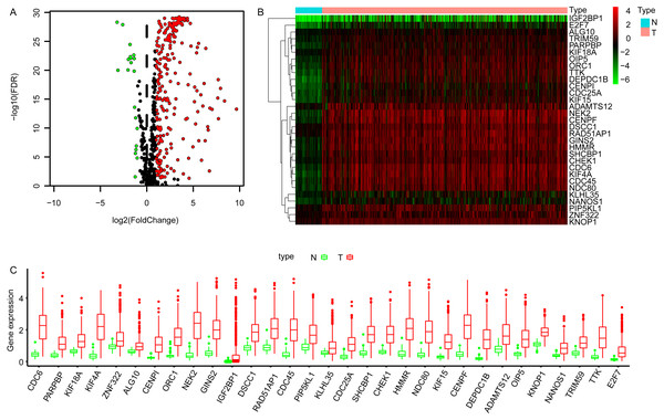 The differentially expressed embryonic germline genes (DEGGs) between LUAD and normal tissues.