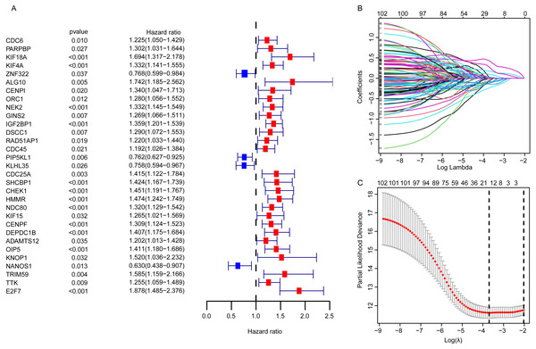 The identification of the DEGGs with prognostic value.