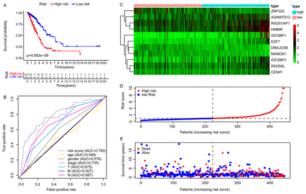 The construction of embryonic germline gene related prognostic model.