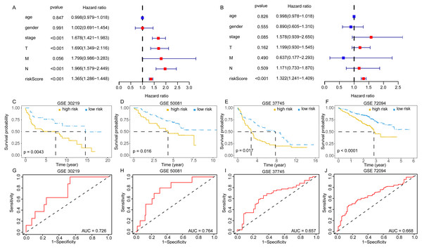 The validation of embryonic germline gene related prognostic model.