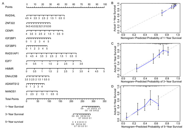 Prognostic nomogram and calibration plots of EGRS.