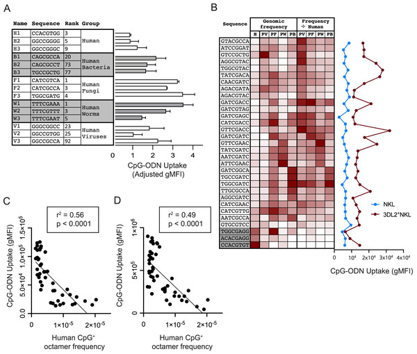 Common CpG+ octamers in the human genome are poorly taken up by KIR3DL2+NKL cells.