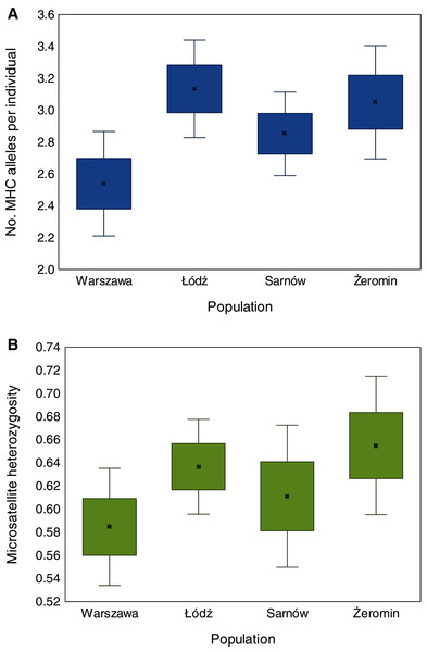 Differences in the number of MHC class II alleles per individual (A) and individual heterozygosity at microsatellite loci (B) between old urban (Warszawa), new urban (Łódź) and two rural (Sarnów and Żeromin) populations of the Eurasian coot.