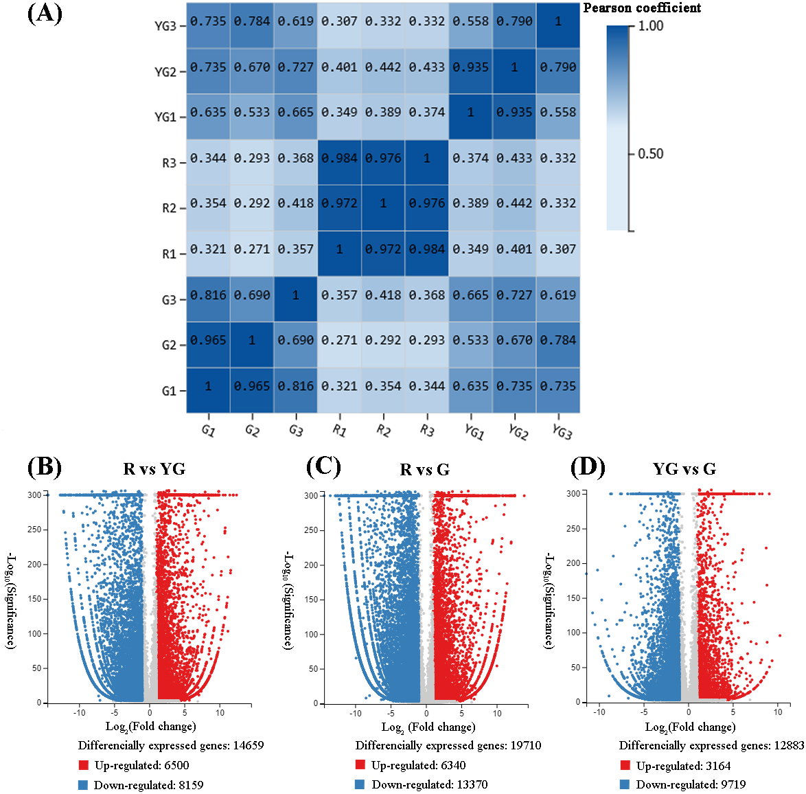 Biochemical and transcriptomic analyses reveal that critical genes