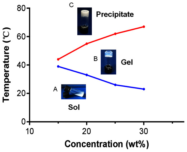 Sol-to-gel transition temperature measurement of PLGA-PEG-PLGA copolymers determined using the vial inversion test and phase diagram of the sol-gel-precipitation transition as a function of PLGA-PEG-PLGA concentration.