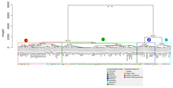 Hierarchical clustering dendrogram from the similarity of 87 VF in H. pylori strains.