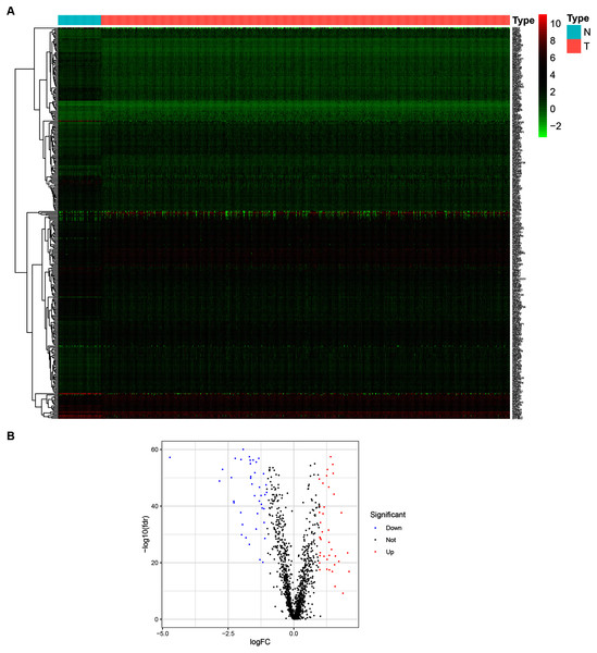 Identification of DEGs of ZNFs in the TCGA-BRCA dataset.