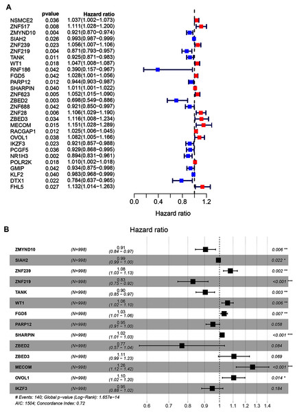 Univariate and multivariate Cox regression analysis of the TCGA-BRCA dataset illustrated as a forest plot.