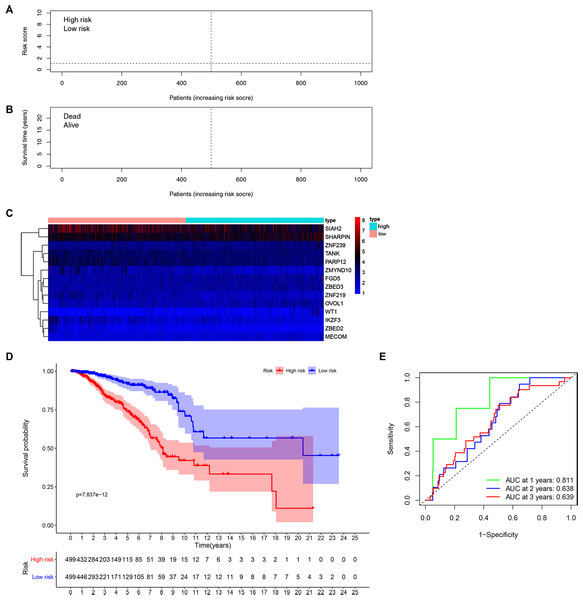 Development of a prognostic signature for BRCA based on 14 ZNFs-related genes.