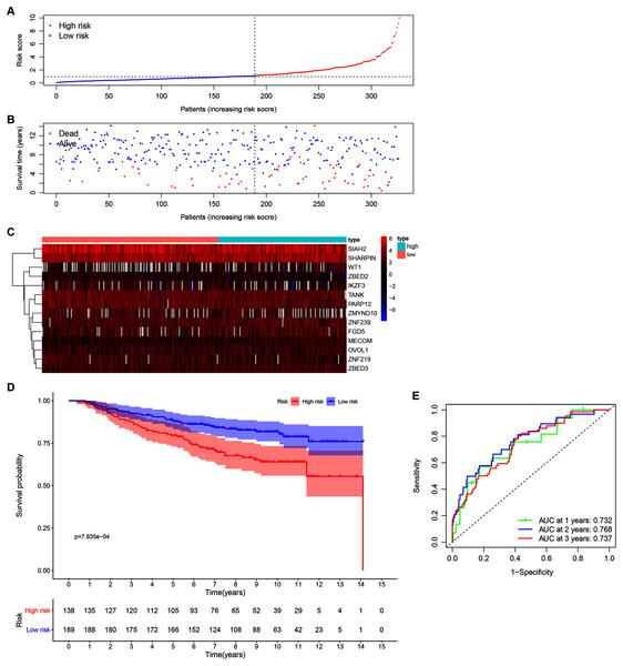 Validation of the 14-ZNF-gene prognostic signature in GSE20685 dataset.