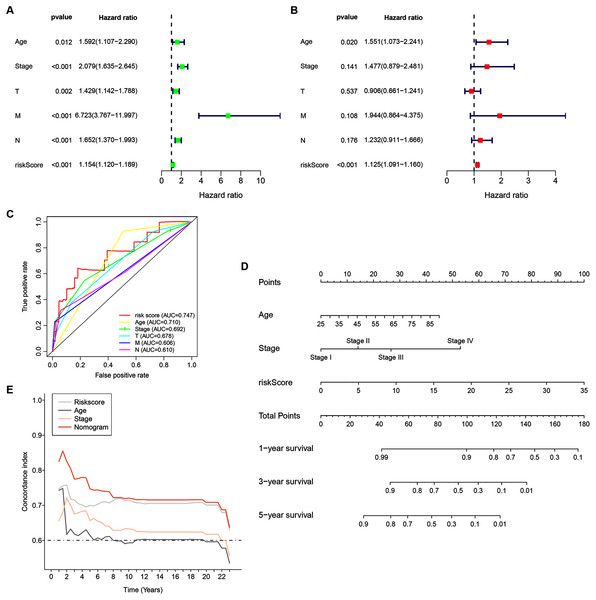 14-ZNF-gene signature in TCGA-BRCA dataset based nomogram.