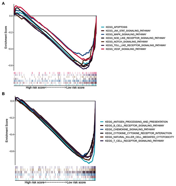 GSEA of the ZNF-related signature in BRCA.