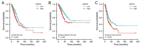  Kaplan–Meier survival curves for (A) overall survival (OS), (B) disease specific survival (DSS) and (C) progress free survival (PFS) of the LUAD patients with high and low WDR76 expression level.