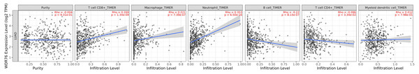 Correlation of WDR76 expression with immune infiltration in LUAD from the TIMER database.