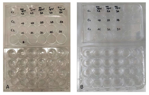 Toxicity tests on Artemia salina nauplii.