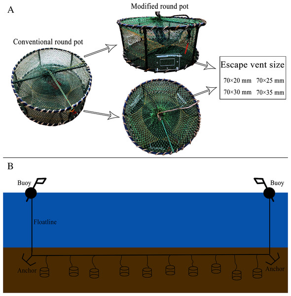 Experimental gear configuration and operation.