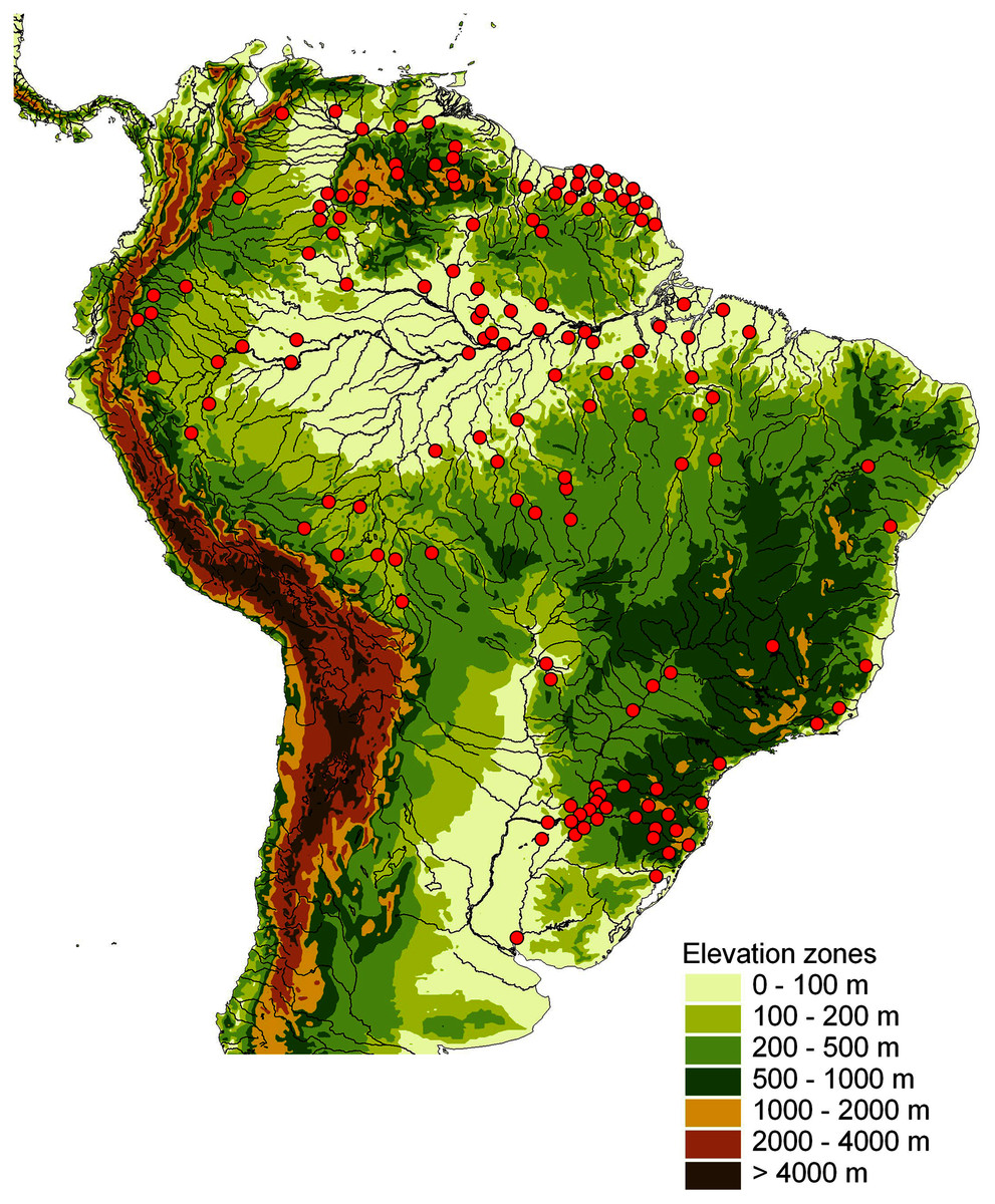 MtDNA species-level phylogeny and delimitation support significantly ...