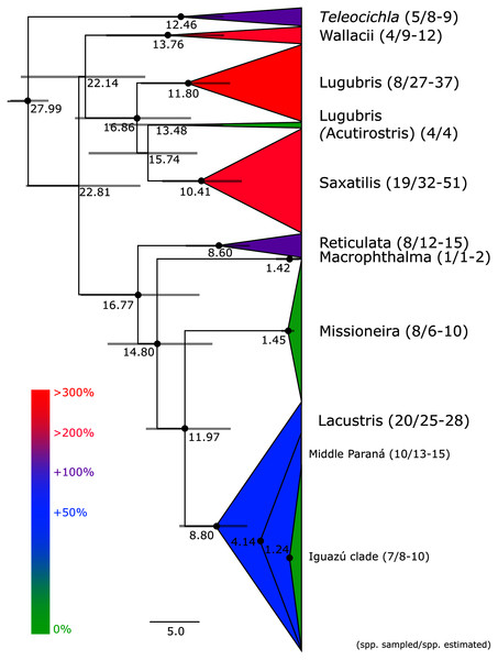 Maximum clade credibility chronogram from 10,000 posterior trees generated using Beast collapsed to show species groups (same tree as in Figs. 3–6).
