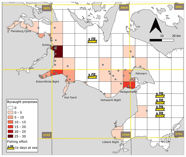 Spatial distribution of harbor porpoise bycatches and fishing effort.