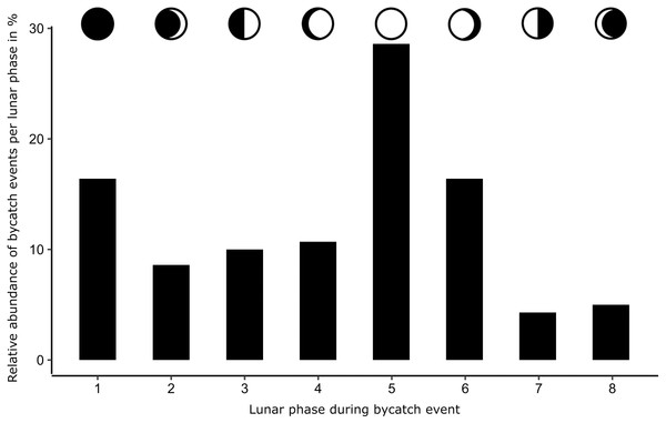 Number of bycaught harbor porpoises during different lunar phases.