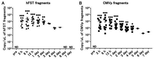 Long-term detection of transgene fragments by intravenous injection.