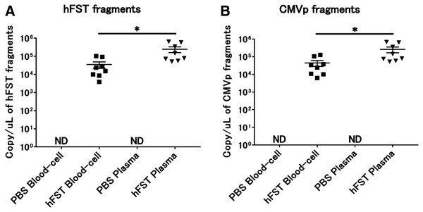 Detection of transgene fragments from each sample by intravenous injection.