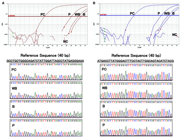 Evaluation of the specificity of primers and TaqMan probes.