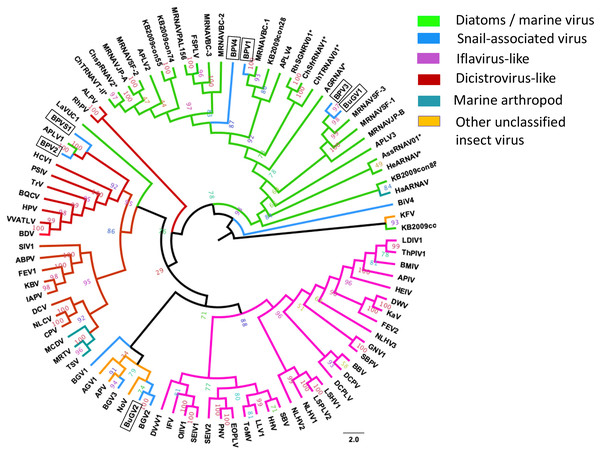 Phylogenetic relationships among SRV+ RdRP sequences derived from snails, diatoms, marine RNA viruses of unknown hosts and insects.