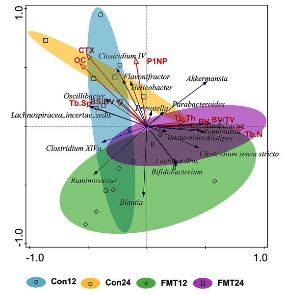 Redundancy (RDA) analysis of gut microbiota and bone parameters following FMT.
