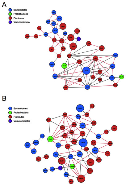 Correlation network analysis of the 50 most abundant OTUs.