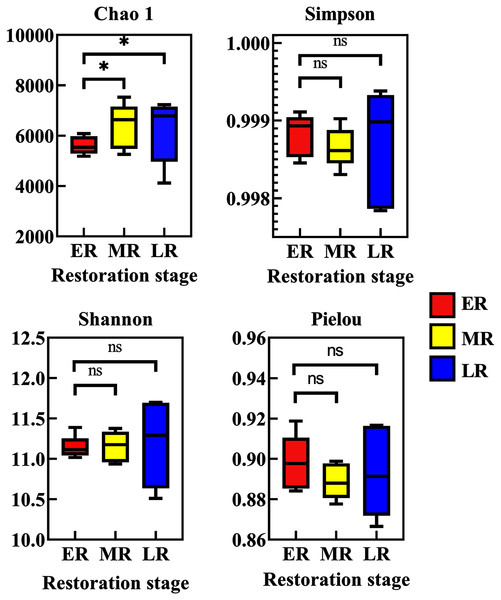 Alpha diversity of rhizosphere microbial communities among three natural restoration stages (ER, MR, and LR).