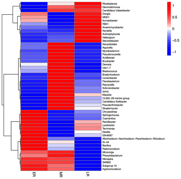 The heatmap of the top 50 genera in rhizosphere microbiota among three natural restoration stages.