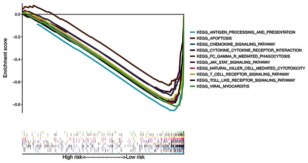 Gene Set Enrichment Analysis of top 10 enriched pathways in risk signature.