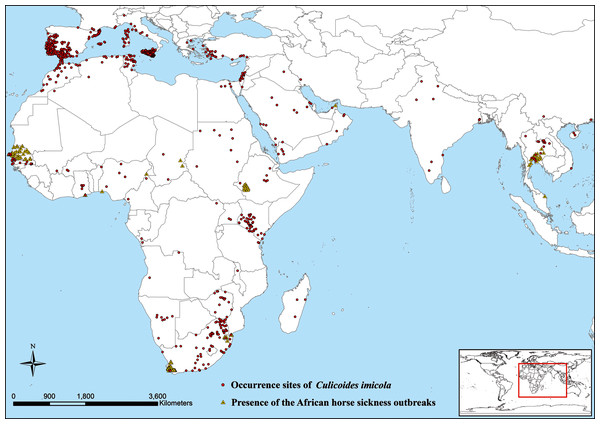 Presence records of Culicoides imicola and African horse sickness outbreaks in the world.