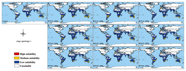 Modelled habitat suitability of Culicoides imicola under current and future climate change scenarios.