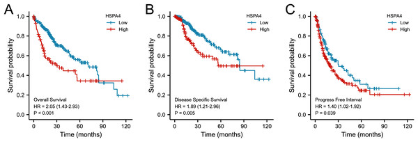 Prognostic value of mRNA level of HSPA4 in patients with HCC (Kaplan–Meier plotter).