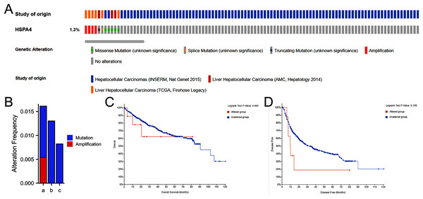Genetic alteration in HSPA4 in HCC.