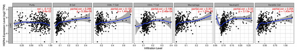 Relationship between HSPA4 expression and immune cell infiltration in HCC.
