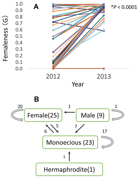 Relative femaleness G (A) and sex changes (B) of 58 plants of Psychotria manillensis in three populations on Okinawa Island in 2012–2013.