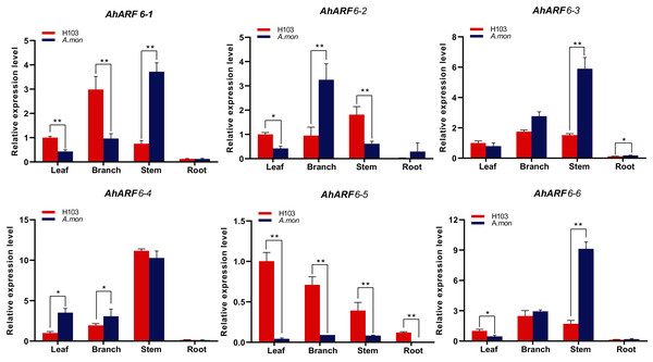 Expression analysis of AhARF6 sub-family genes in different tissues.