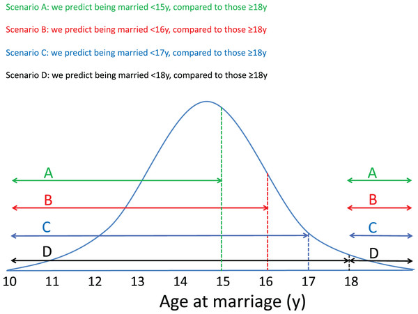 Early marriage groups used in analysis.