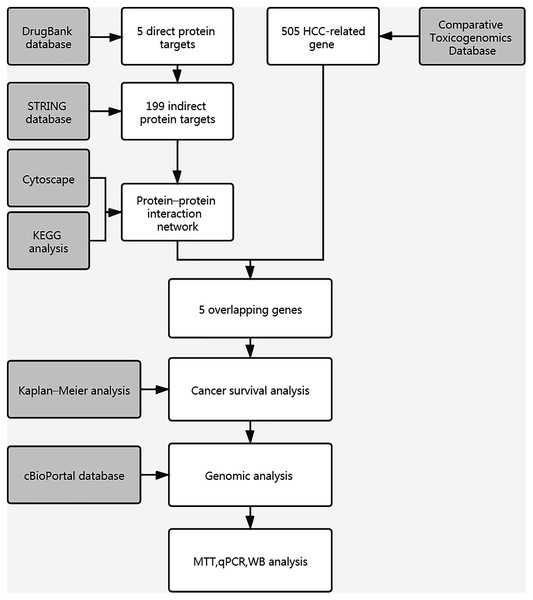 Workflow chart of study.