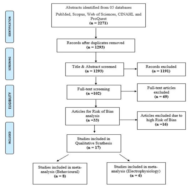 PRISMA flowchart.