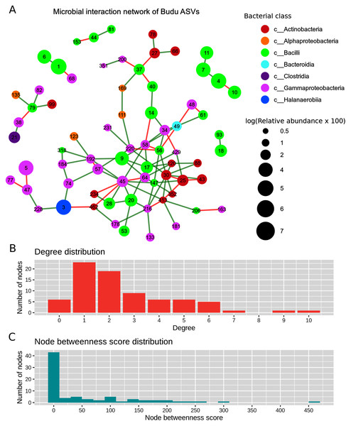 Predicted microbial interaction network based on Meinshausen-Bühlmann neighborhood selection model applied on 16S sequence coabundance.