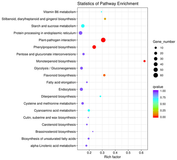 KEGG pathway significant enrichment analysis of differentially expressed genes.
