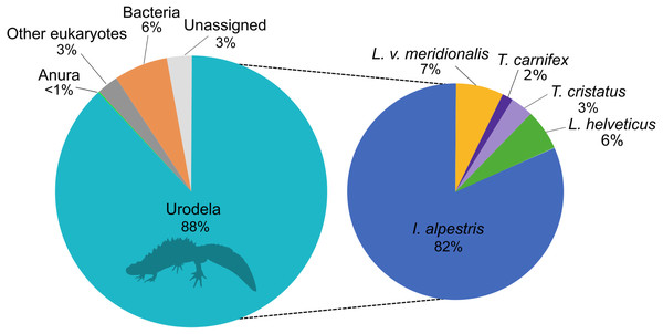 Proportion of major taxonomic groups amplified by the set of new 16S primers designed in this study.